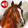 Get Horse Sounds Ringtones for Android Aso Report