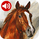 Horse Sounds Ringtones - Androidアプリ