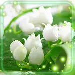 Cover Image of 下载 Lilies Valley Flowers  APK