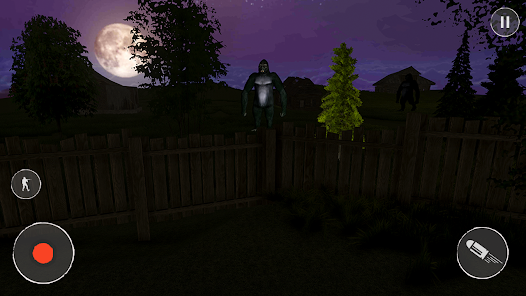 Screenshot image