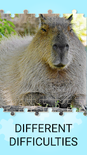 Capybara Games: Xếp hình ghép
