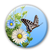 Butterfly 1.1.11 Icon
