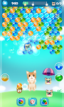 screenshot of Kitten Bubble