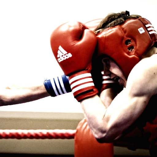 Boxing Wallpapers Download on Windows