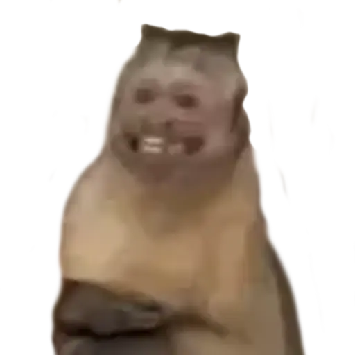 Meme Stickers for WhatsApp Logo