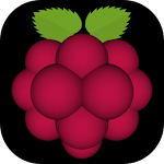Cover Image of Télécharger Very Raspberry  APK