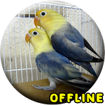 Cover Image of Download Suara Burung Lovebird Kawin MP  APK