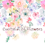 Curtain of Flowers Theme