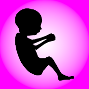 My Pregnancy Info Widget  Icon