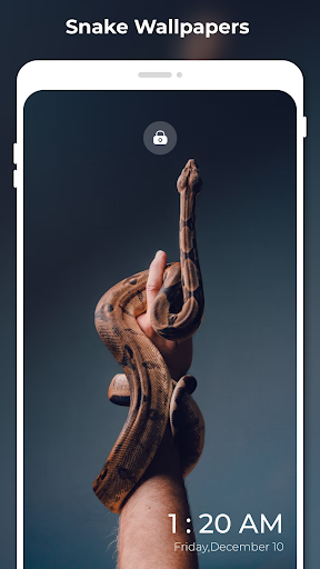 SerpentArt Snake Wallpapers