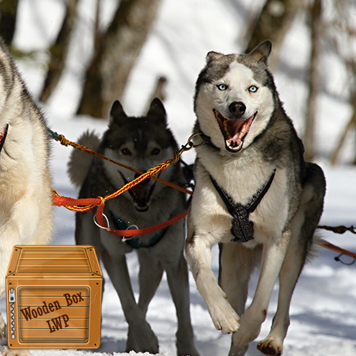 siberian husky wallpaper logo