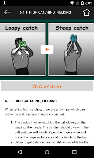 Wellington College Cricket