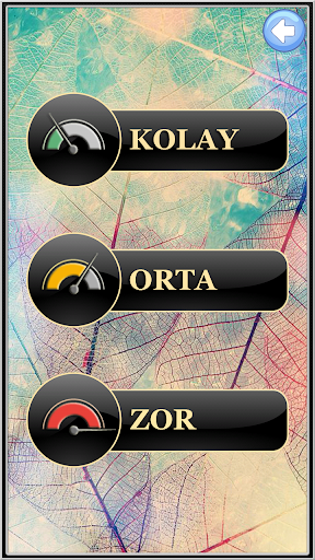 Four Operations Mathematics Screen 2