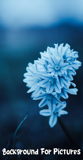 Android application Background For Pictures screenshort