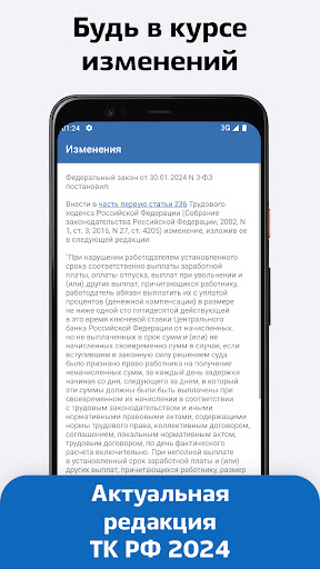 Android application Трудовой Кодекс РФ 2024 screenshort