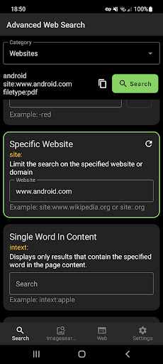 Advanced Web Search Screen 2