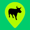 Flash One icon