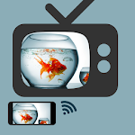 Screen Mirroring to TV App : Display Phone on TV Apk