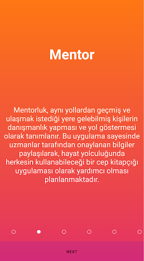 Mentor Screen 2