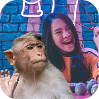 Monkey Selfie photo editor - Monkey wallpapers