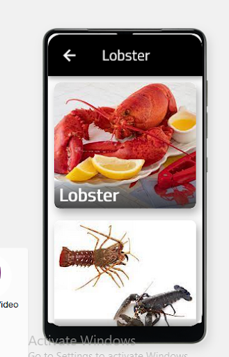 App preview