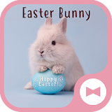 Cute Wallpaper Easter Bunny Theme icon