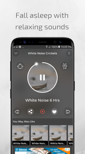White Noise Crickets