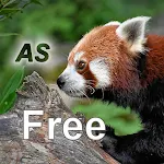 Nature Free - Asia Apk