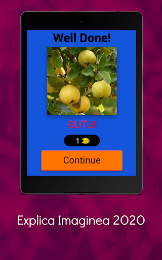 Explica Imaginea 2O2O