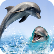 Dolphin Live Wallpaper 3D: HD Background 2018