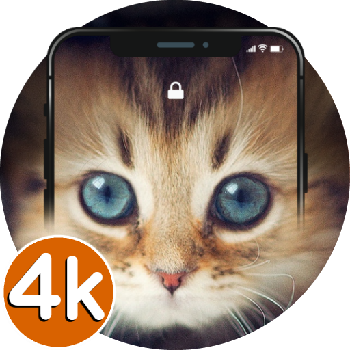 Kitten Wallpapers 4k Hd Kitten Cats Wallpaper Applications Sur Google Play