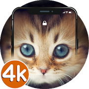 Top 40 Personalization Apps Like ? Kitten Wallpapers 4K | HD Kitten Cats Wallpaper - Best Alternatives