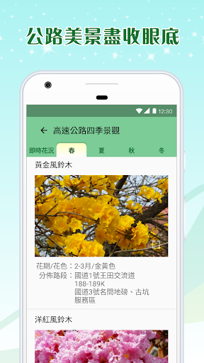 高速公路1968 screenshot 4