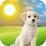 Cover Image of Download Live Weather Puppy Wallpaper  APK