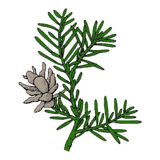 Hemlock logo
