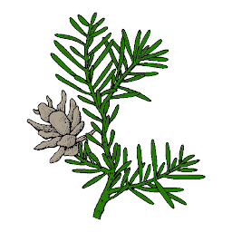 Hemlock: Download & Review