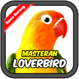 LoveBird Bird's chirp icon