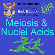 Meiosis and Nuclei Acids | Life Science Grade 12