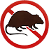 Rat Prevention