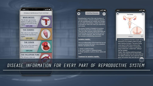 Female Reproductive System 3D Screen 2