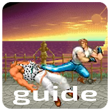 guide for final fight icon