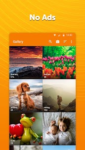 Simple Gallery APK for Android Download 1