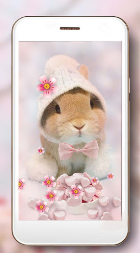 Bunny Pink HD Live Wallpaper