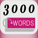 3000 WORD CARDS icon