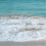 Cover Image of Télécharger Fond d'écran en direct de l'océan réel  APK