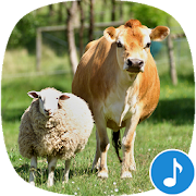 Appp.io - Farm Animal Sounds