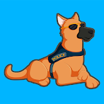 K9 Run