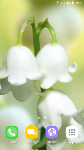 Lily of The Valley Wallpaper Screen 2