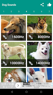 Dog Video Creator (Dog Sounds) スクリーンショット