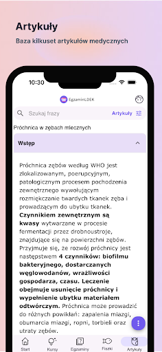 Egzamin LDEK Screen 2